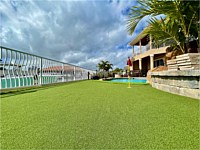 Synthetic Grass